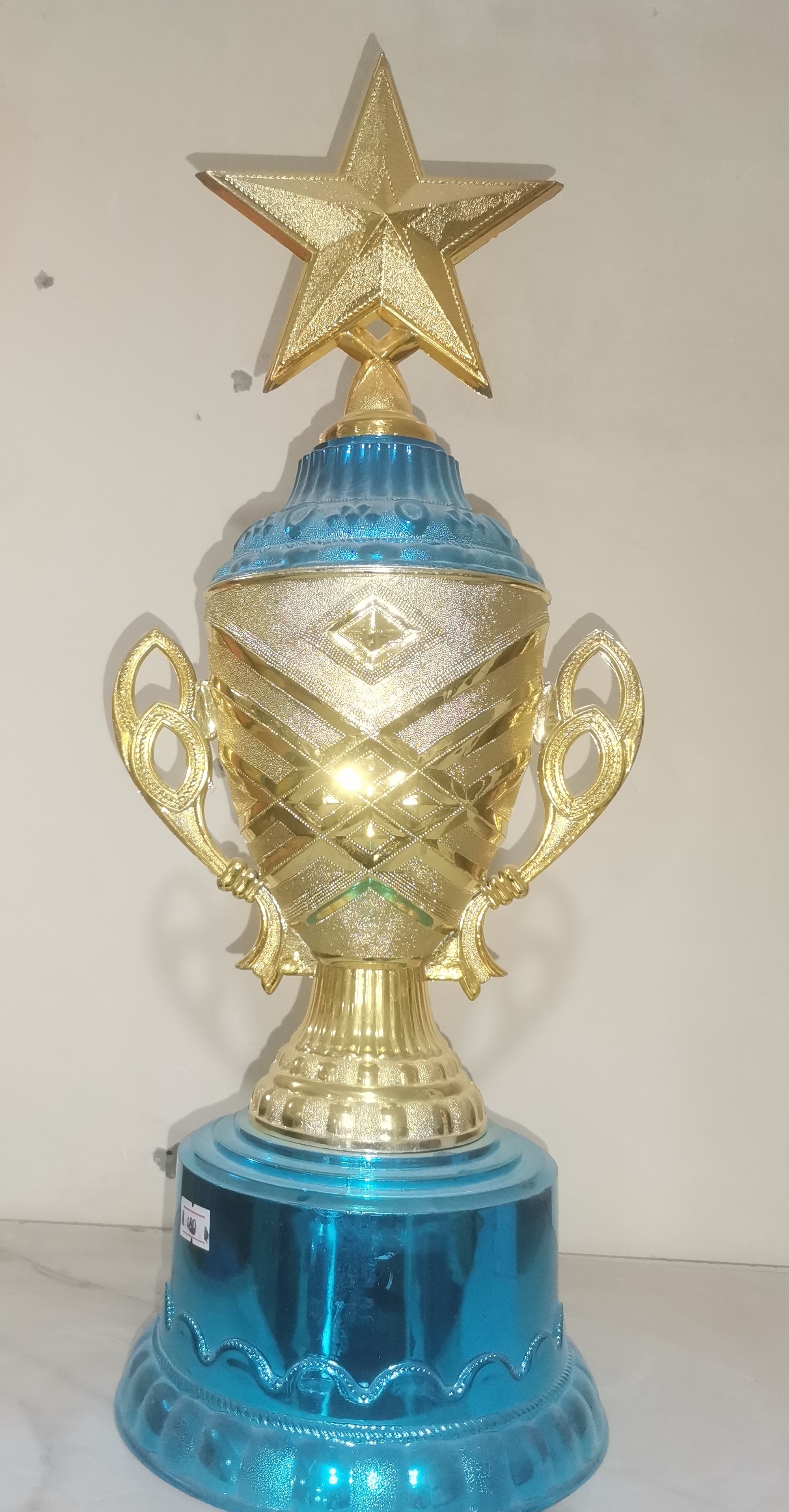 CUP - L1