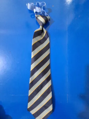 Tie (Blue & Gray) EVS Type